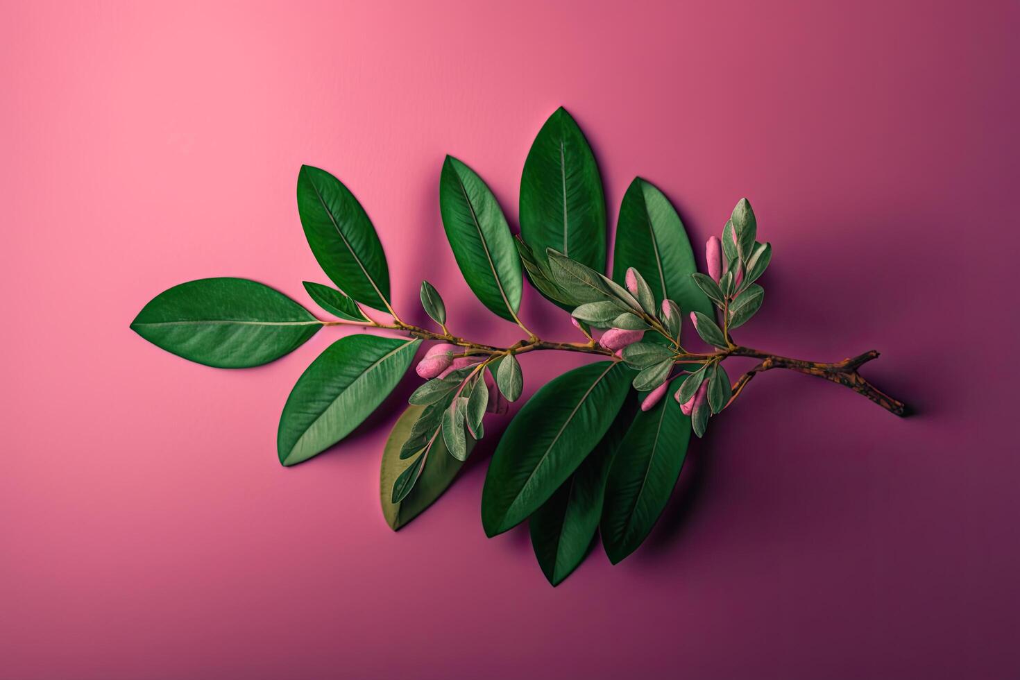 a beautiful green fresh branch on a pink background. Illustration photo
