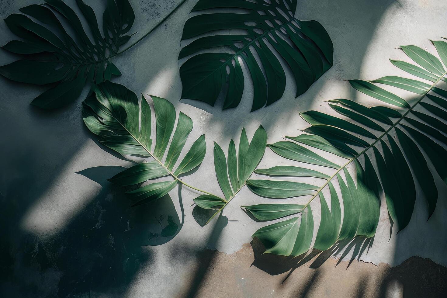 Soft shadows of tropical palm leaves. Illustration photo