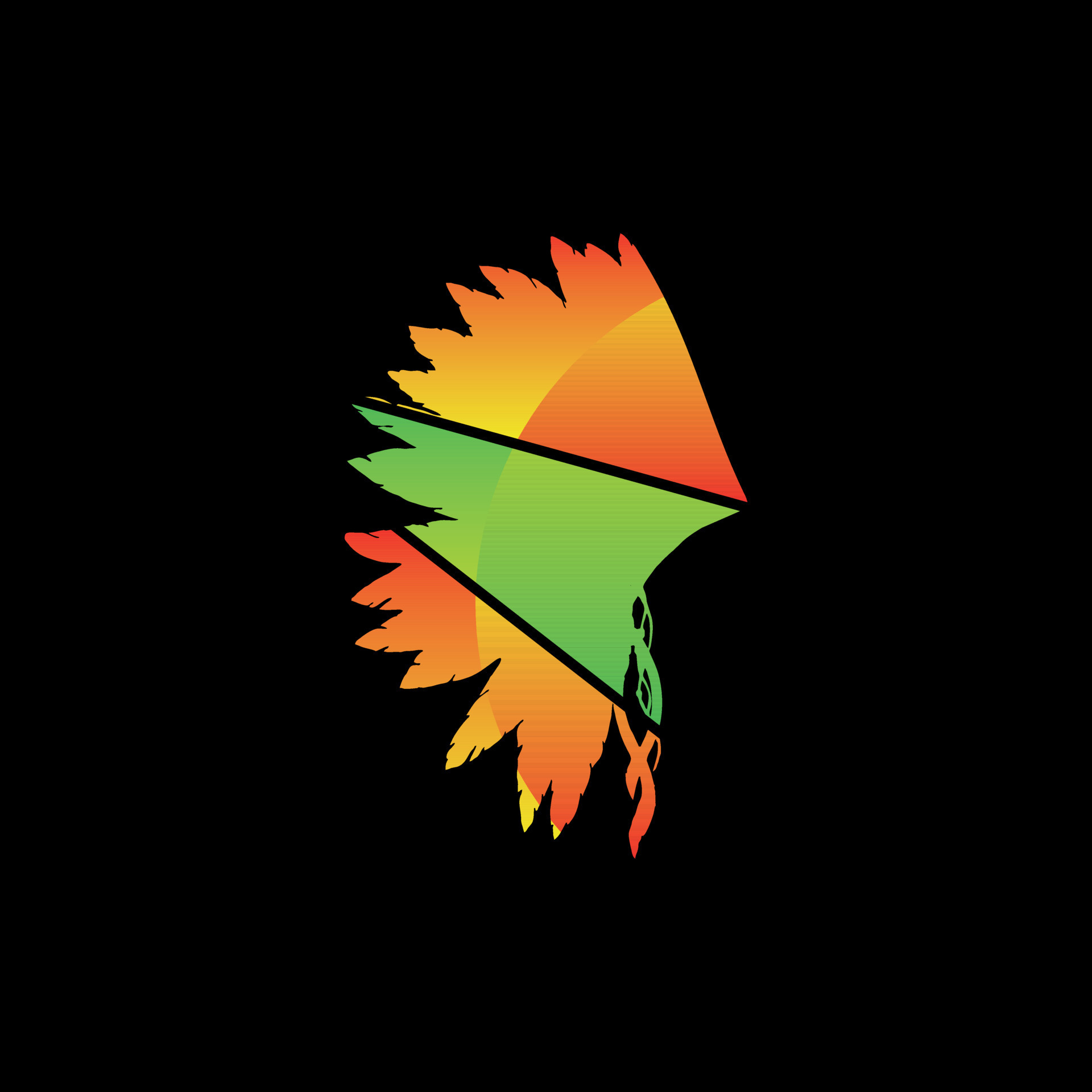 Indian feather apache modern geometric design 21994006 Vector Art at