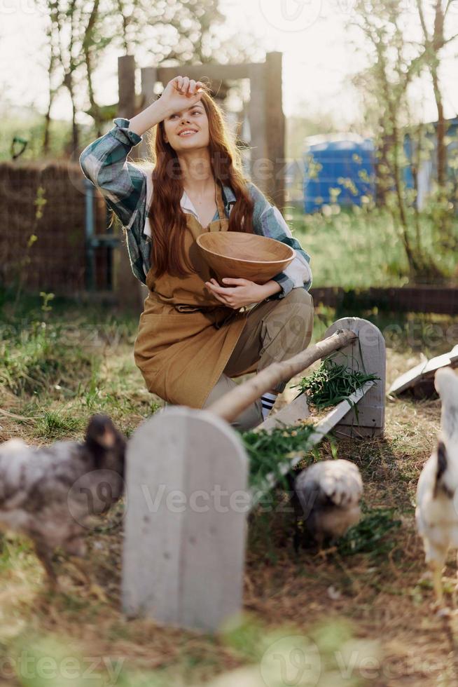 Woman farmer smiles feeds chickens organic food for bird health and good eggs and care for the environment photo