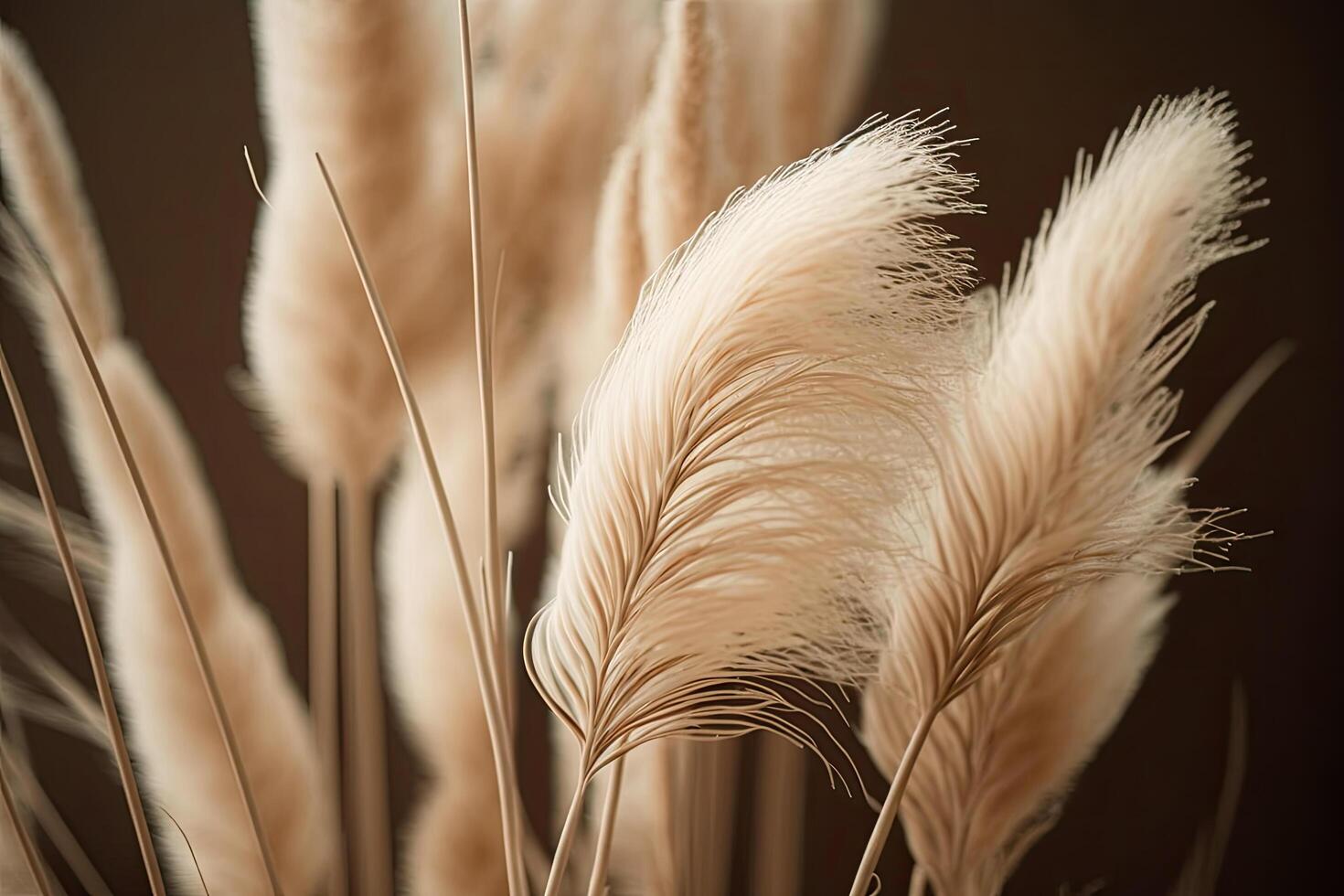 pampas grass neutral beige color background. Illustration photo