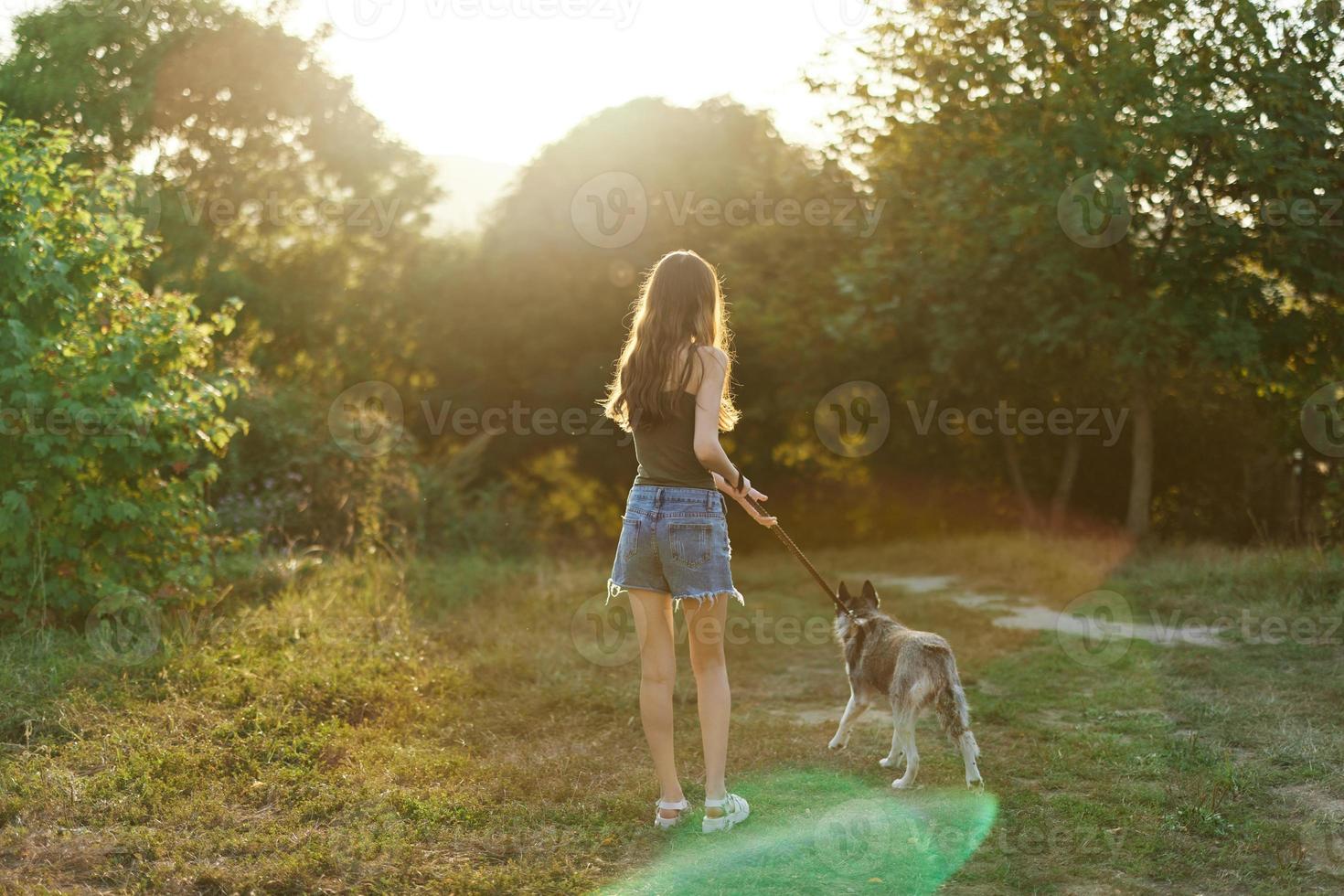 A woman runs her back to the camera with a dog in the forest during an evening walk in the forest at sunset in autumn. Lifestyle sports training with your beloved dog photo