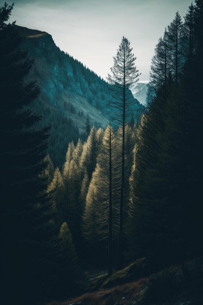 tylised vertical panorama of forest in the French Alps. Illustration photo