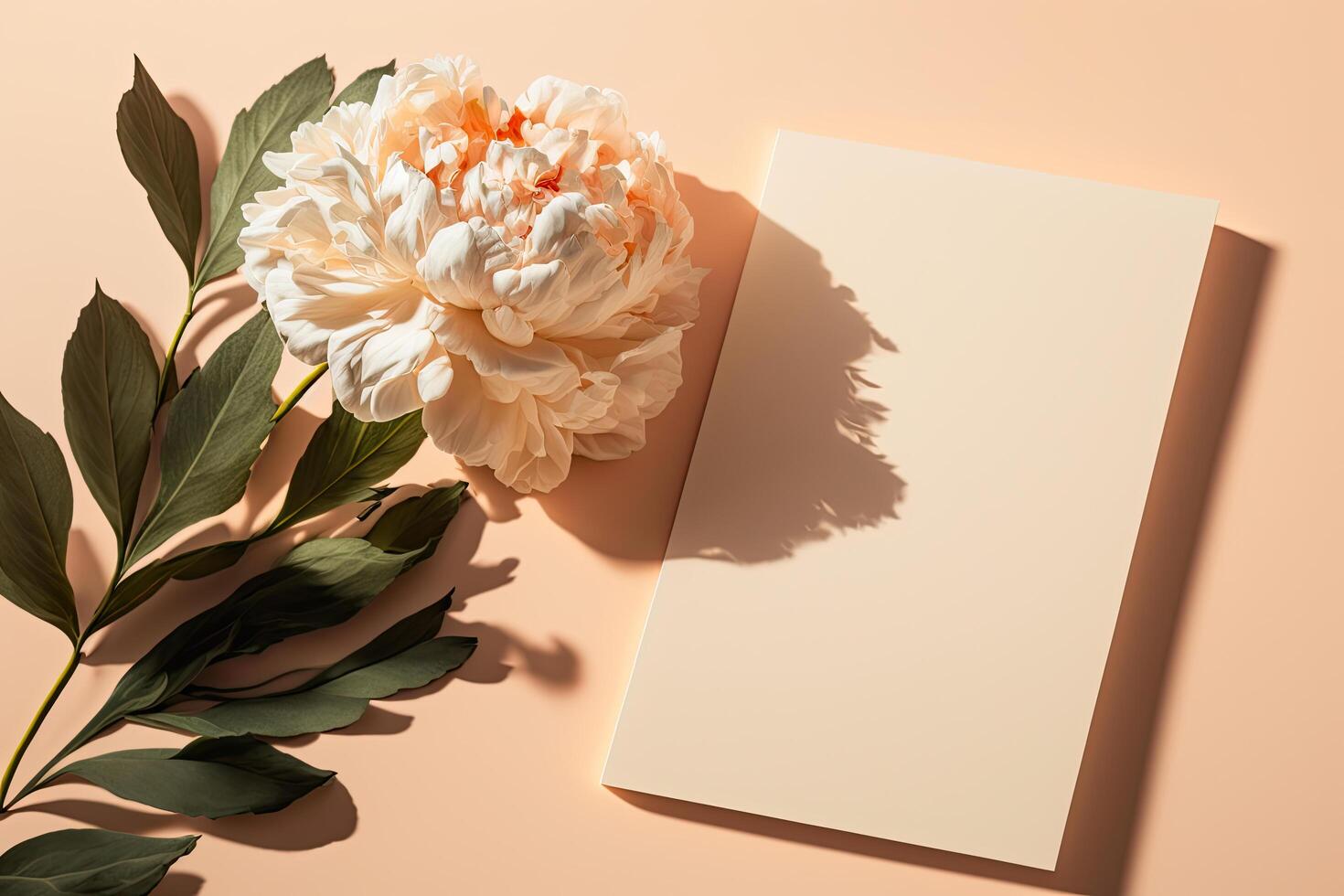 Blank paper card with copy space peony flower with sunlight. Illustration photo