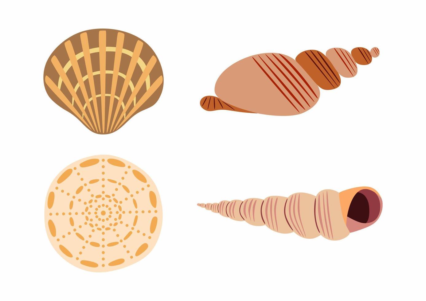 Set of sea shells on white background. Flat vector illustration.