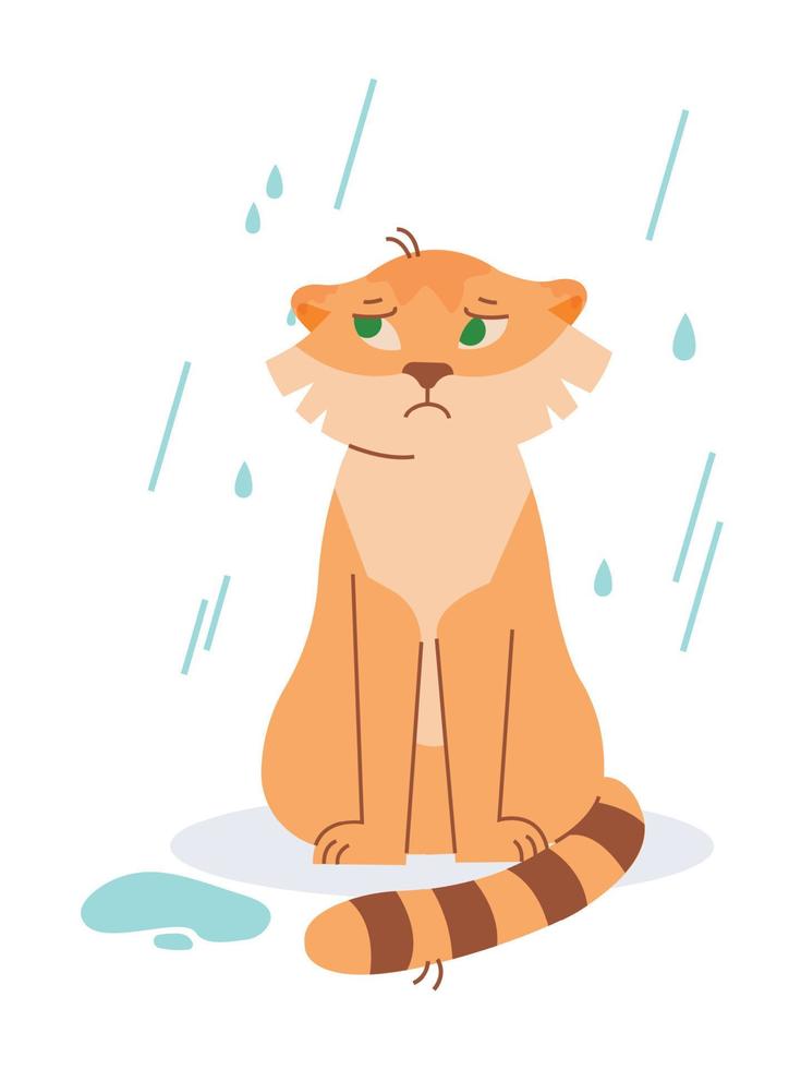 el Tigre es sentado en el lluvia. vector imagen.