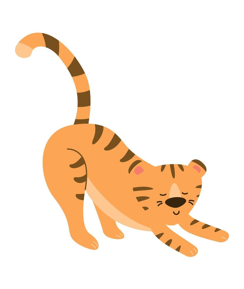 The tiger is doing exercises, streching. Vector image.