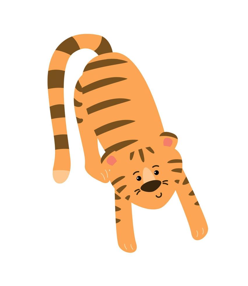 The tiger is stretching. Vector image.