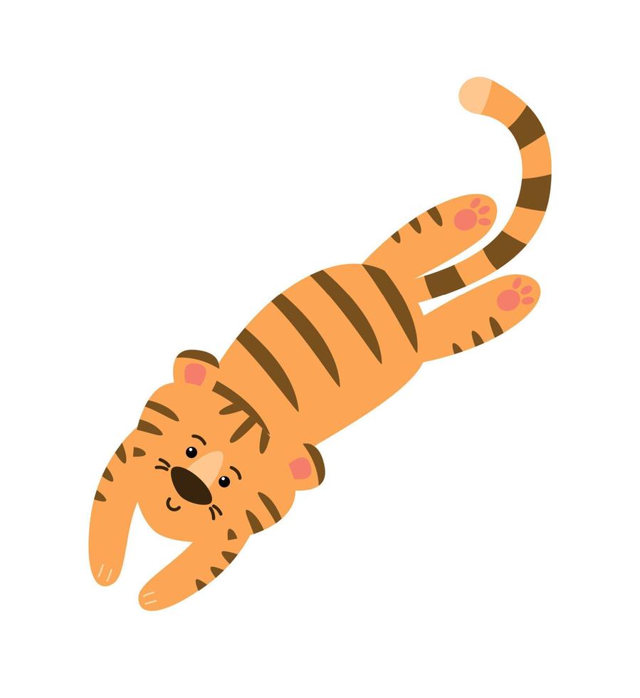 The tiger lies, rests and looks. Vector image.