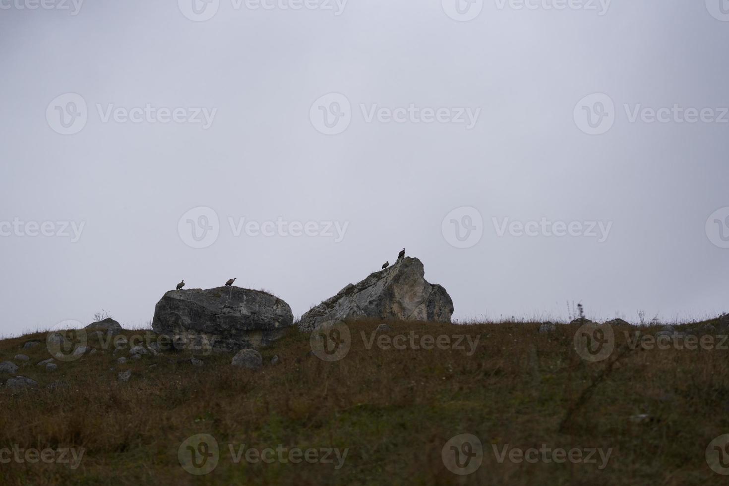 Rock landscape weather conditions autumn tall stones travel photo