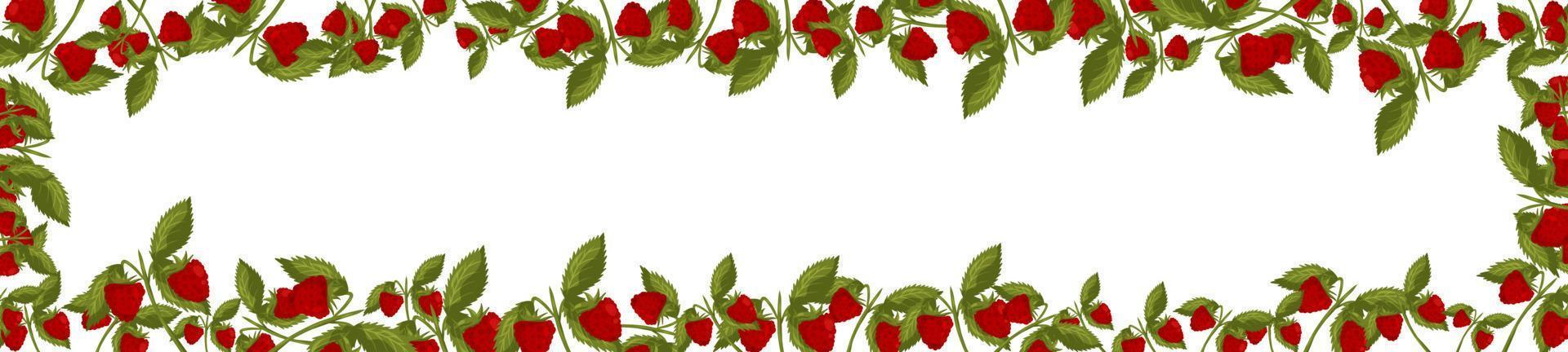 Spring horizontal border with raspberries and leaves. Summer vector banner isolated white background cartoon style.