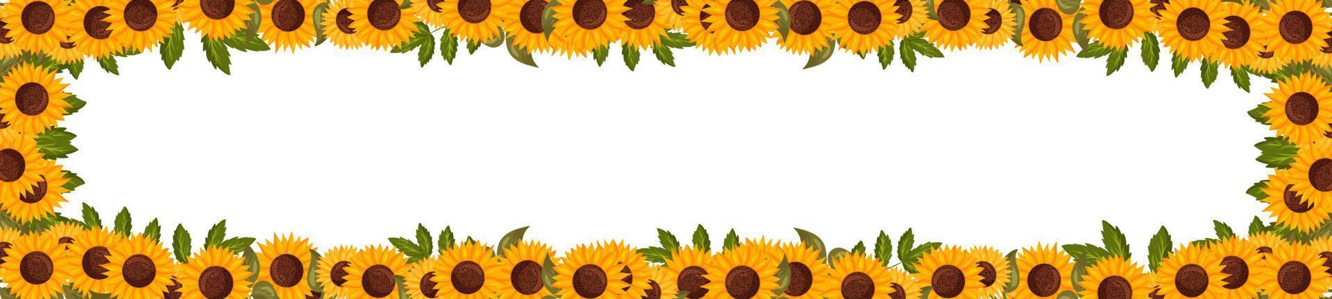 Spring horizontal border with sunflower flowers. Summer vector banner