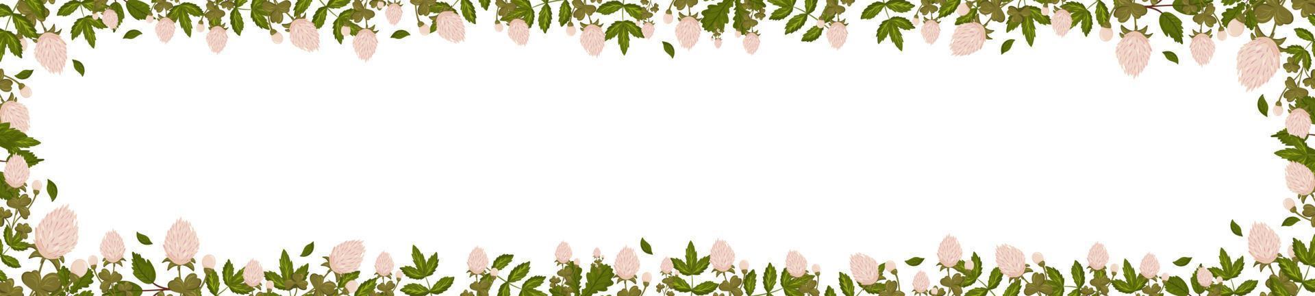 Spring horizontal frame with clover flowers, shamrock and leaves. Summer vector banner i
