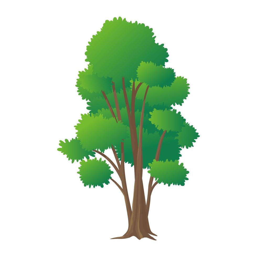 Different Green Tree. Vector illustration of Various Type Wood. Vector illustration.