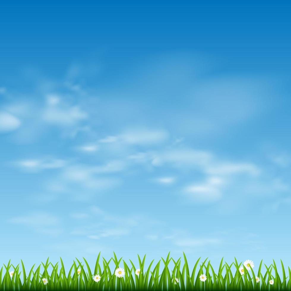 vector green grass and blue sky. Carton style vector illustration grass, cloud and blue background