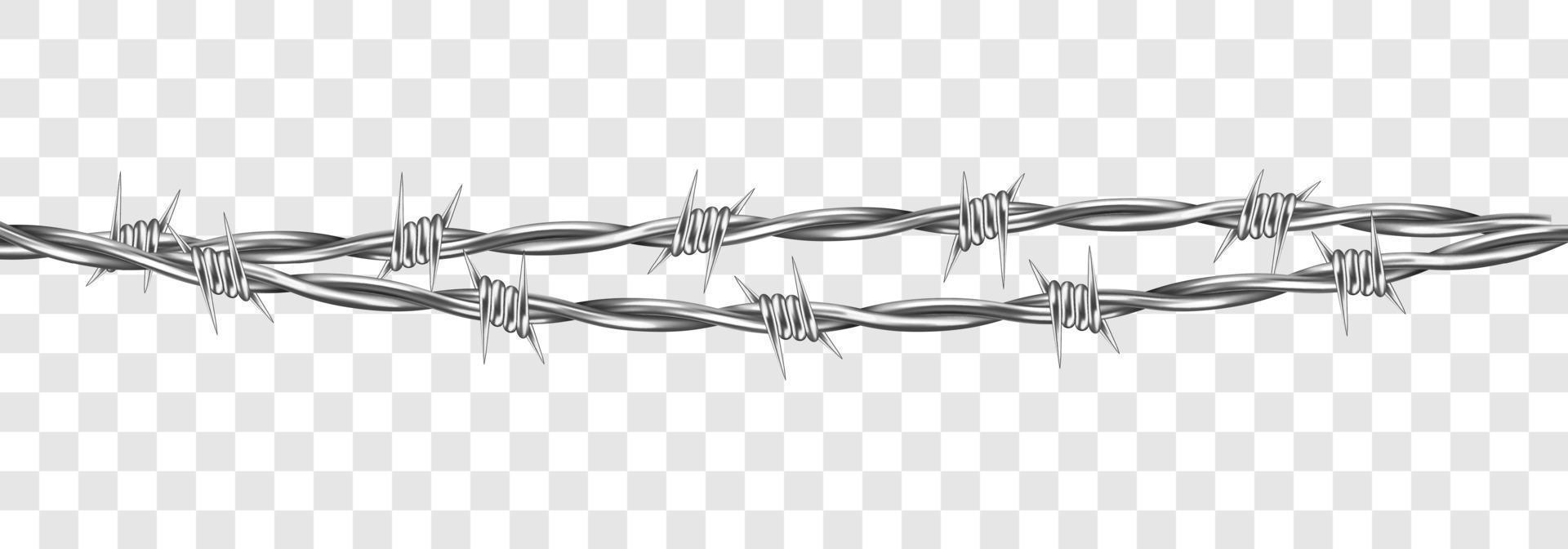 Metal steel barbed wire with thorns or spikes vector