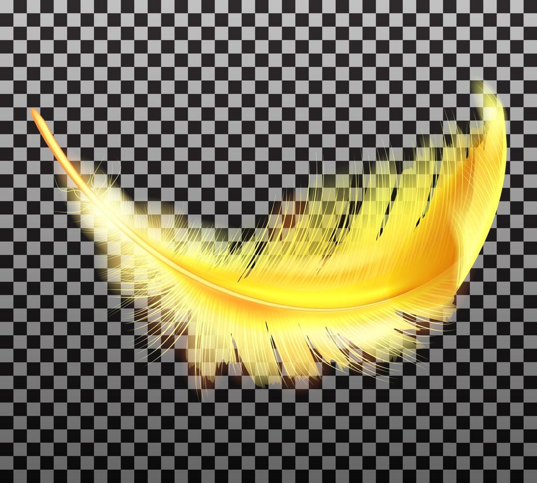 color dorado mullido pluma vector realista