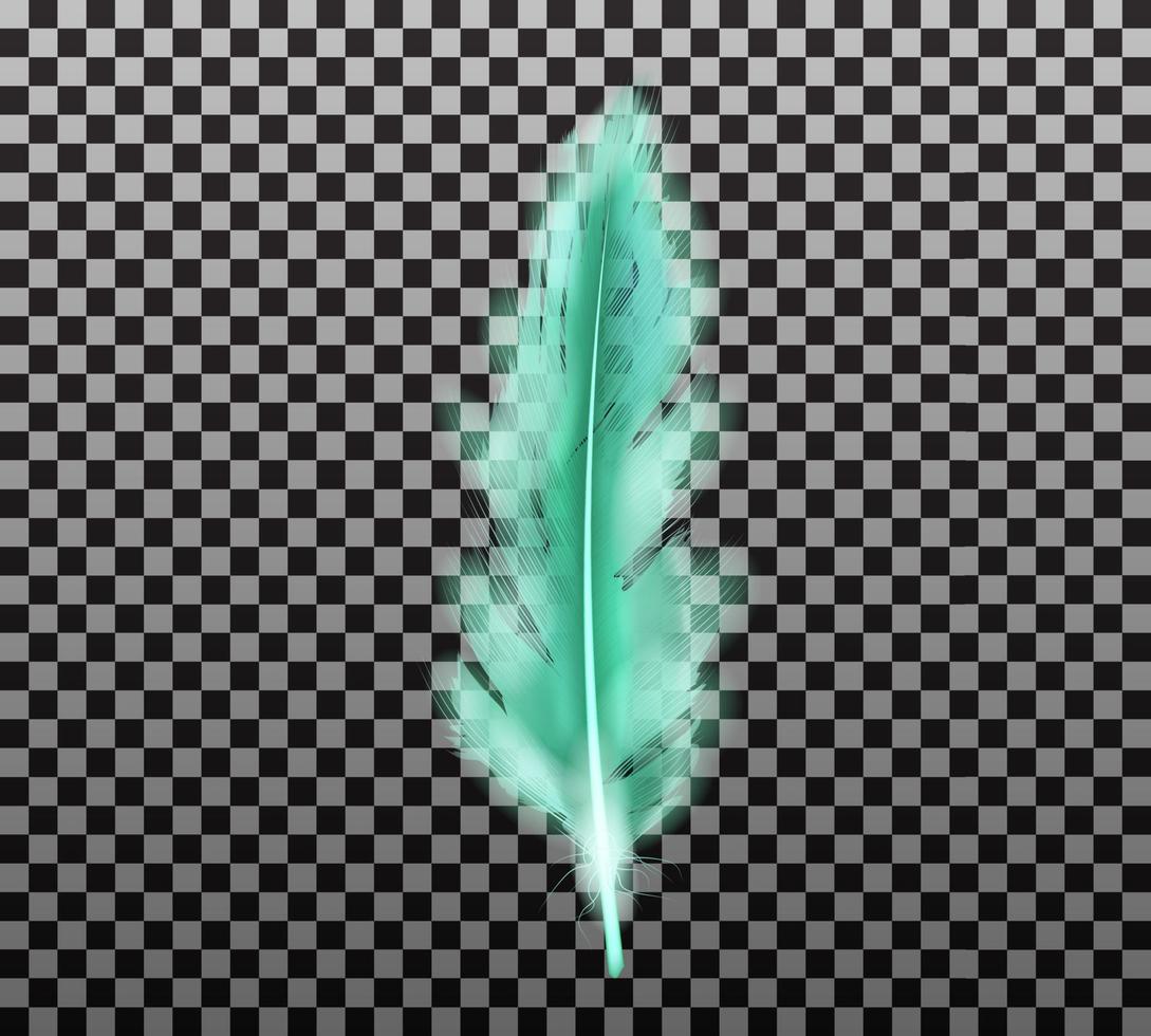 Color green fluffy feather vector realistic