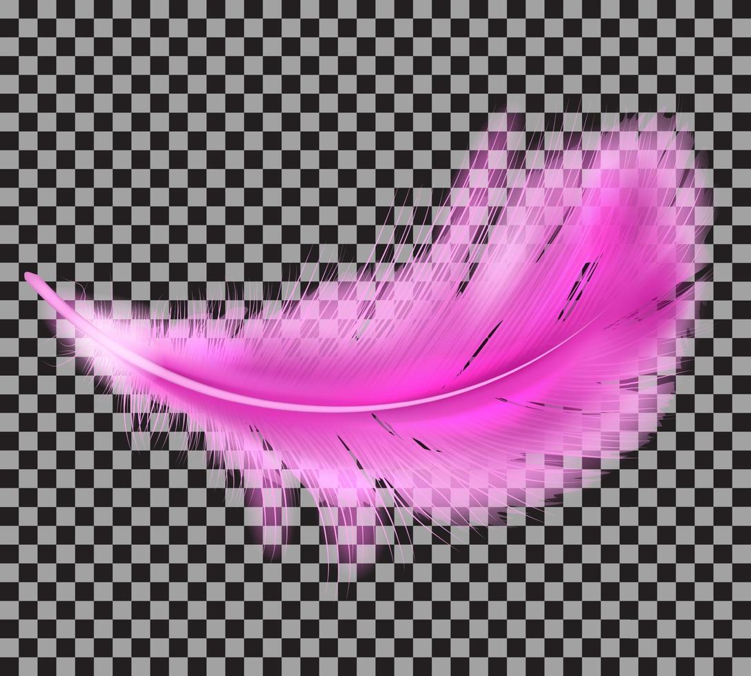 Color pink fluffy feather vector realistic