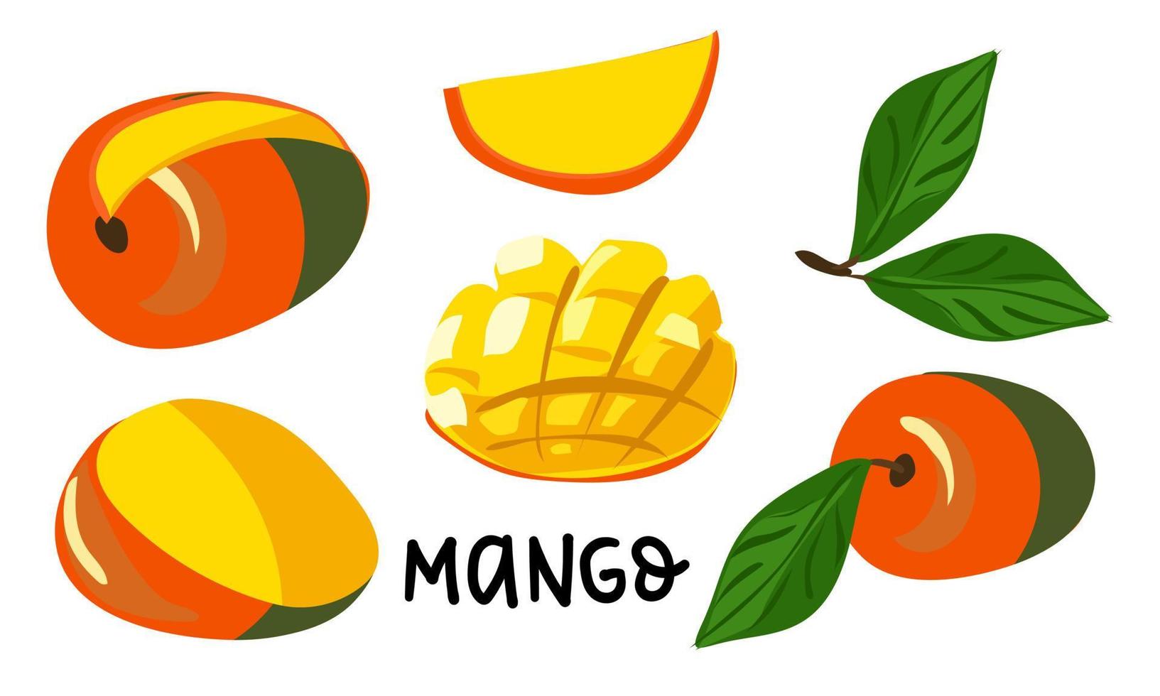 A set of vector illustrations with the image of mango. A separate set with different fruit slices. Hand-drawn illustrations. Tropical fruits, mango snacks or vegetarian dishes Icon set isolated vector