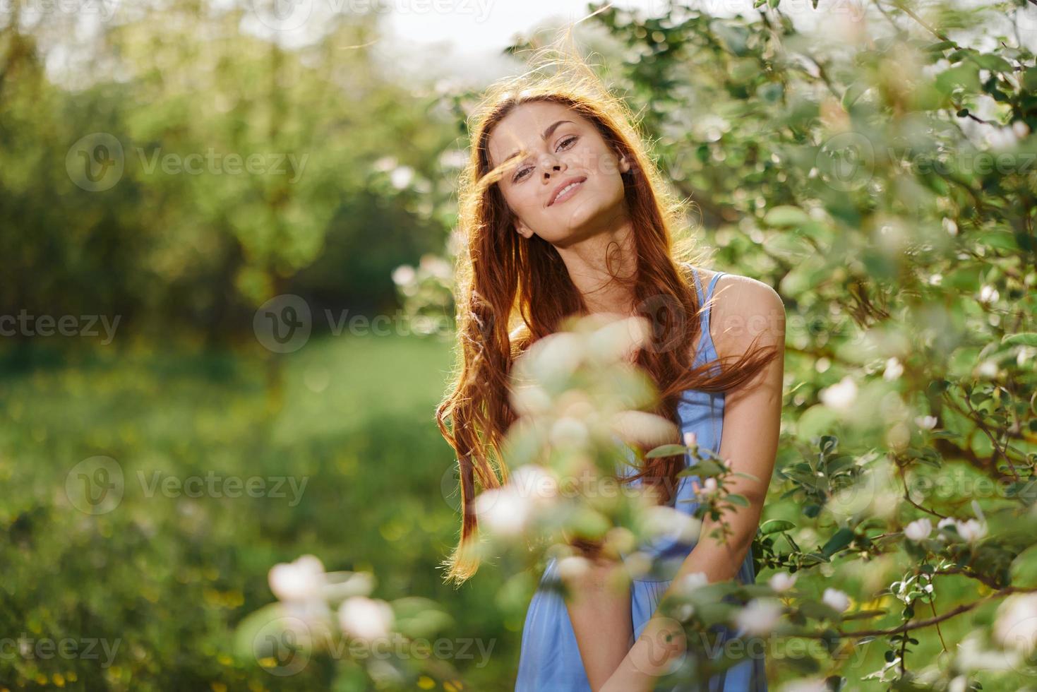 Woman with flying hair in spring stands in the orchard of a blooming apple tree and smiling with teeth stroking herself with her hands and embracing, in a blue dress, happiness sunset photo