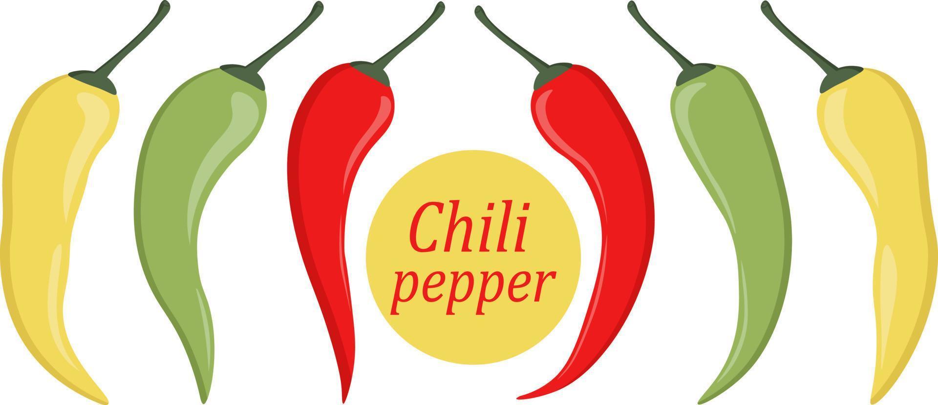 Chili pepper set. Red, green and yellow chili peppers. 22005766 Vector