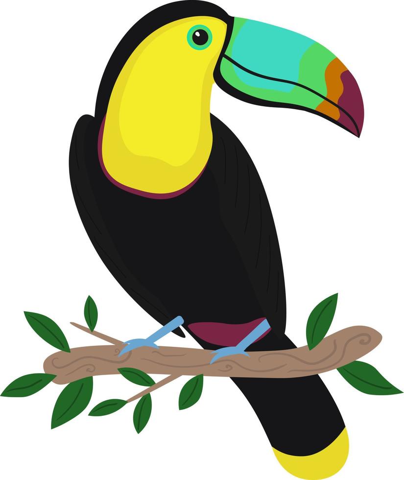 ilustración de un tropical pájaro - tucán. brillante tucán en un rama. vector