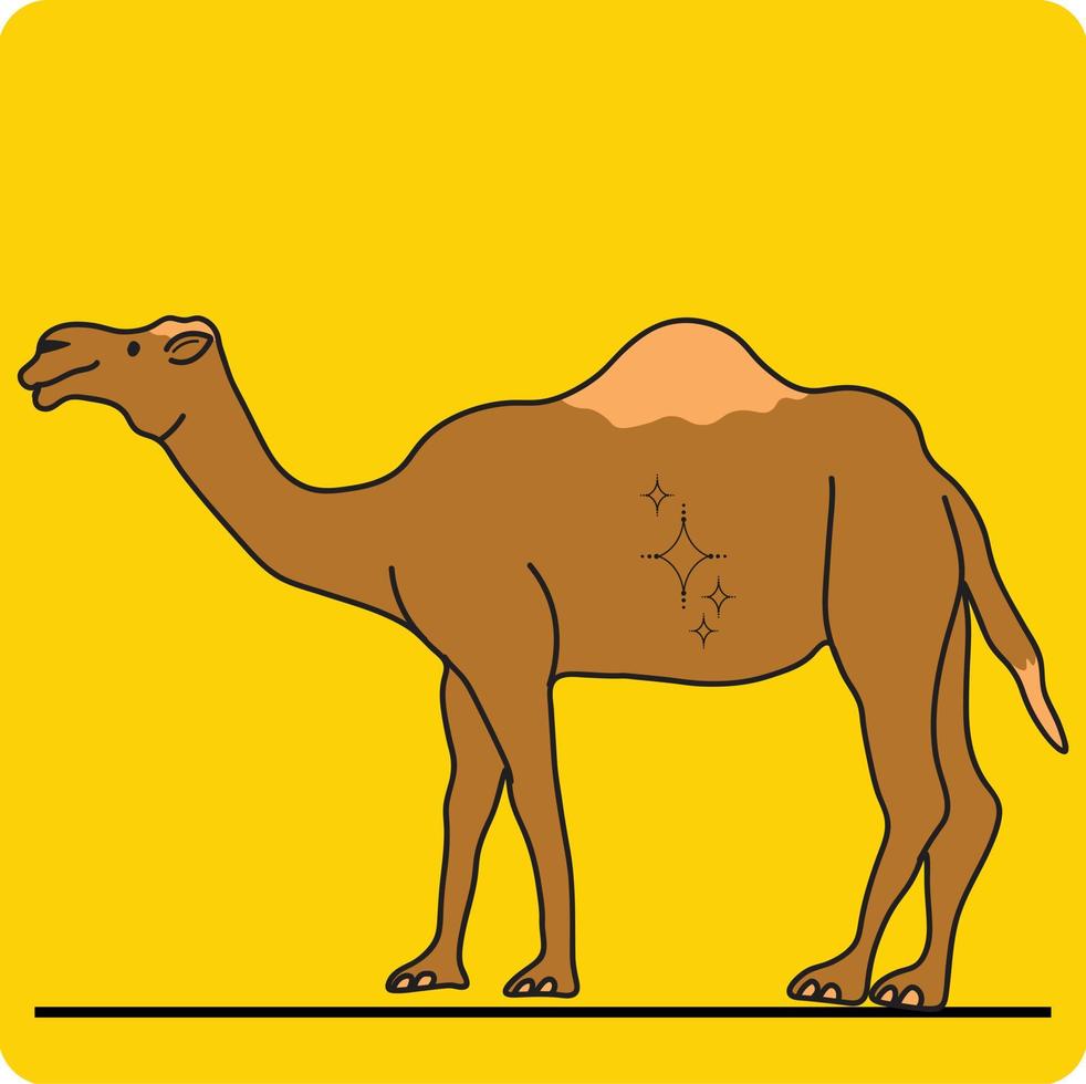 Vector cartoon camel isolated on yellow background