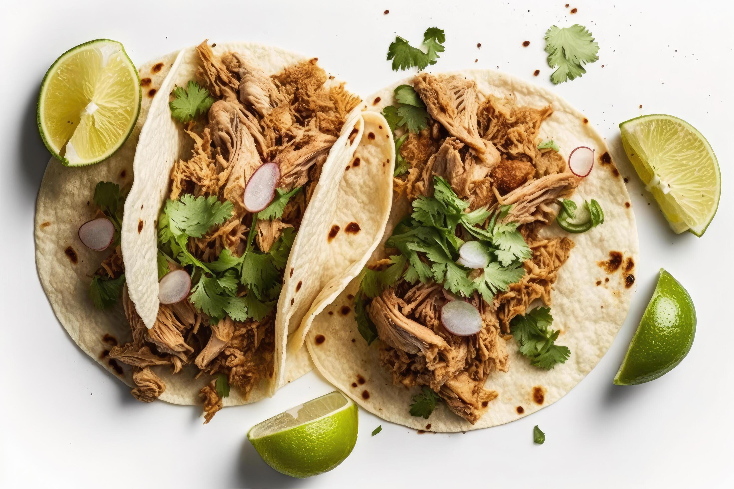 Mexican pork carnitas tacos. Illustration 22009484 Stock Photo at Vecteezy