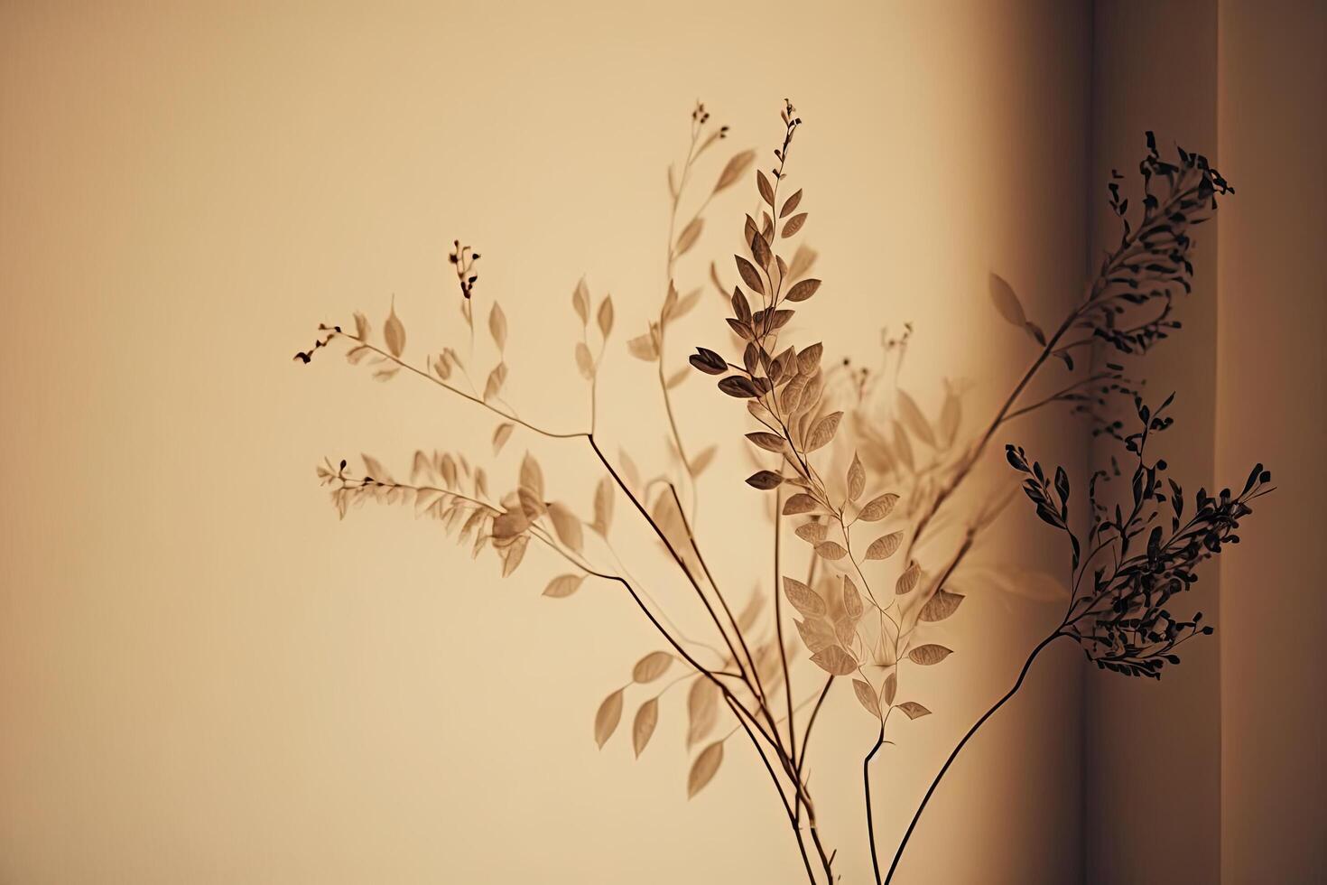 Beautiful branches of a dry plant on the background. Illustration photo