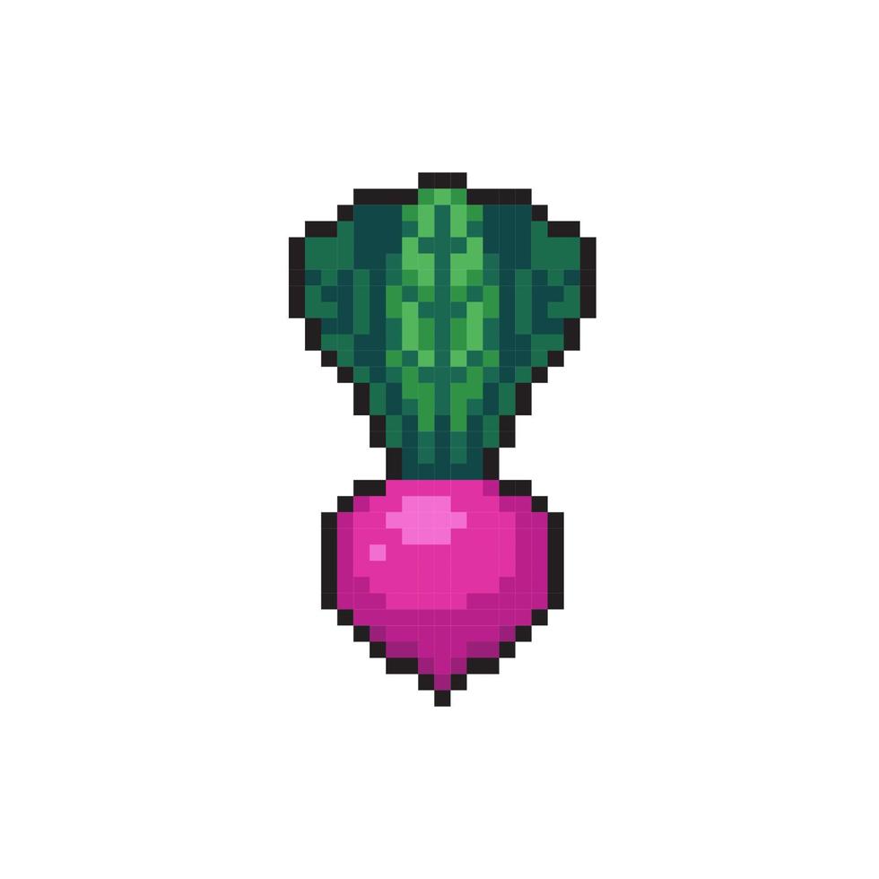 beetroot in pixel art style vector