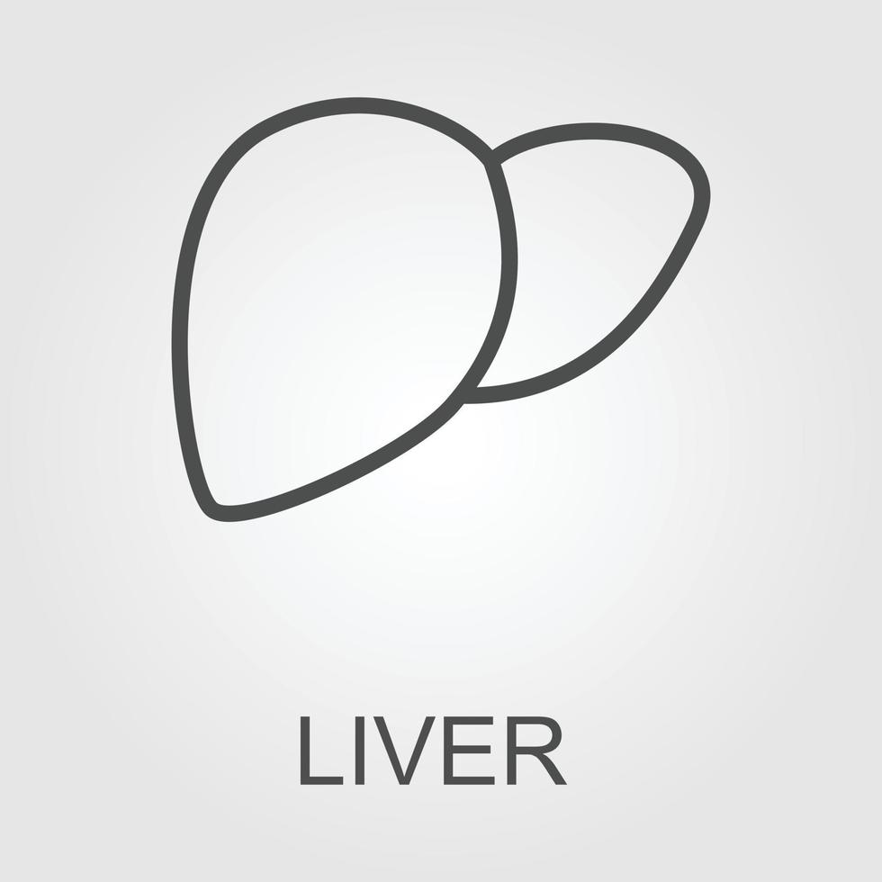 Liver icon in trendy flat style isolated on white background. Symbol for your web site design, logo, app, UI. Vector illustration, EPS