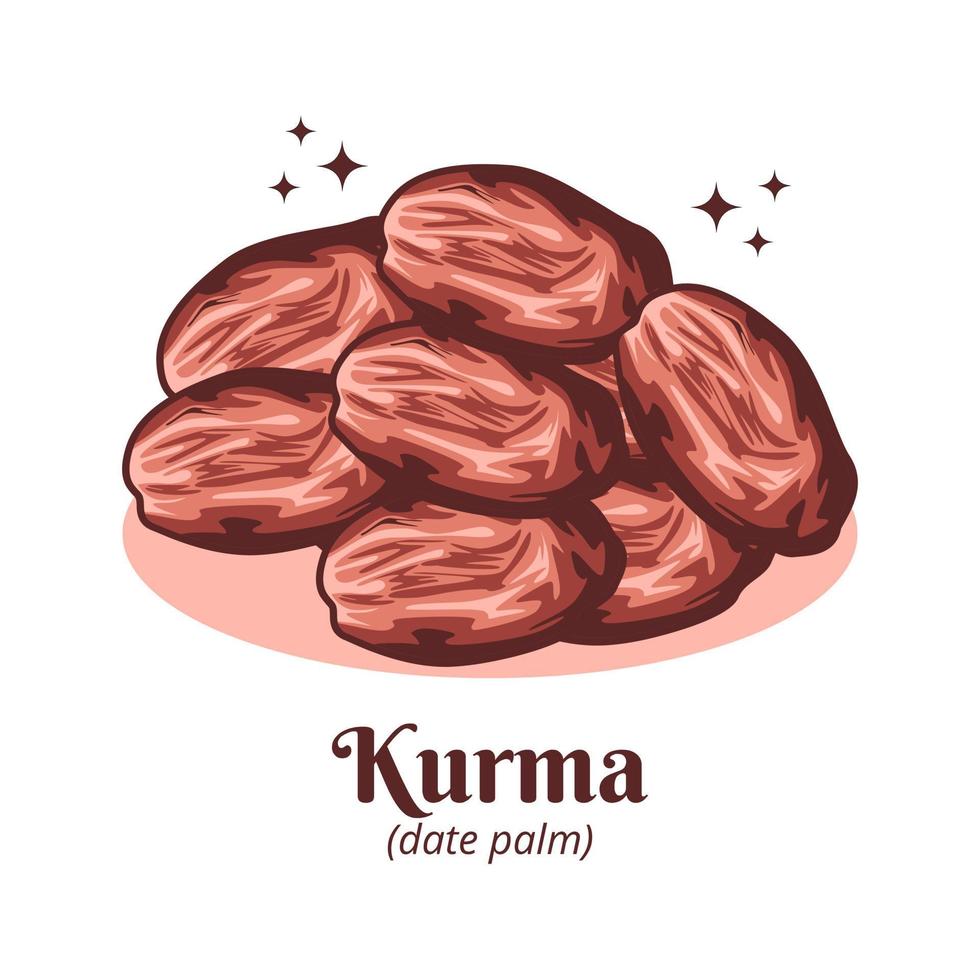 ilustración de kurma o fechas árabe comida vector diseño