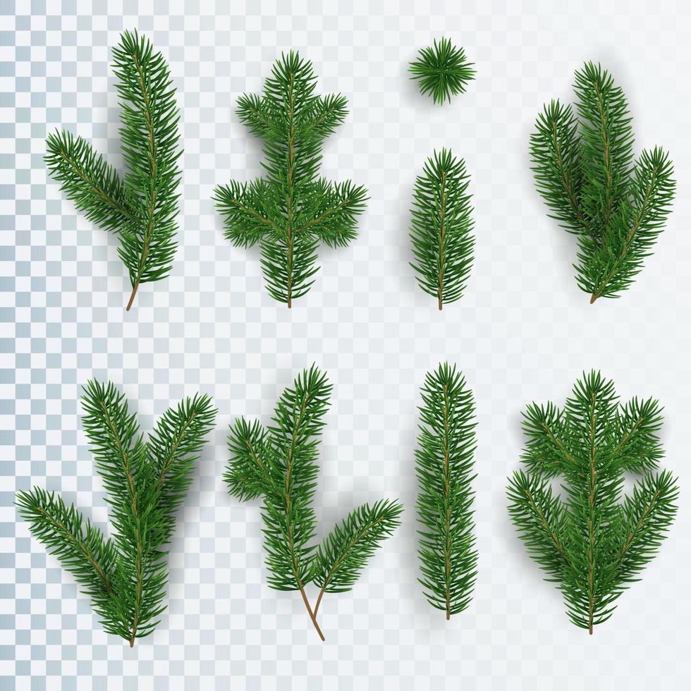 Set of realistic Christmas tree branches of different shapes and