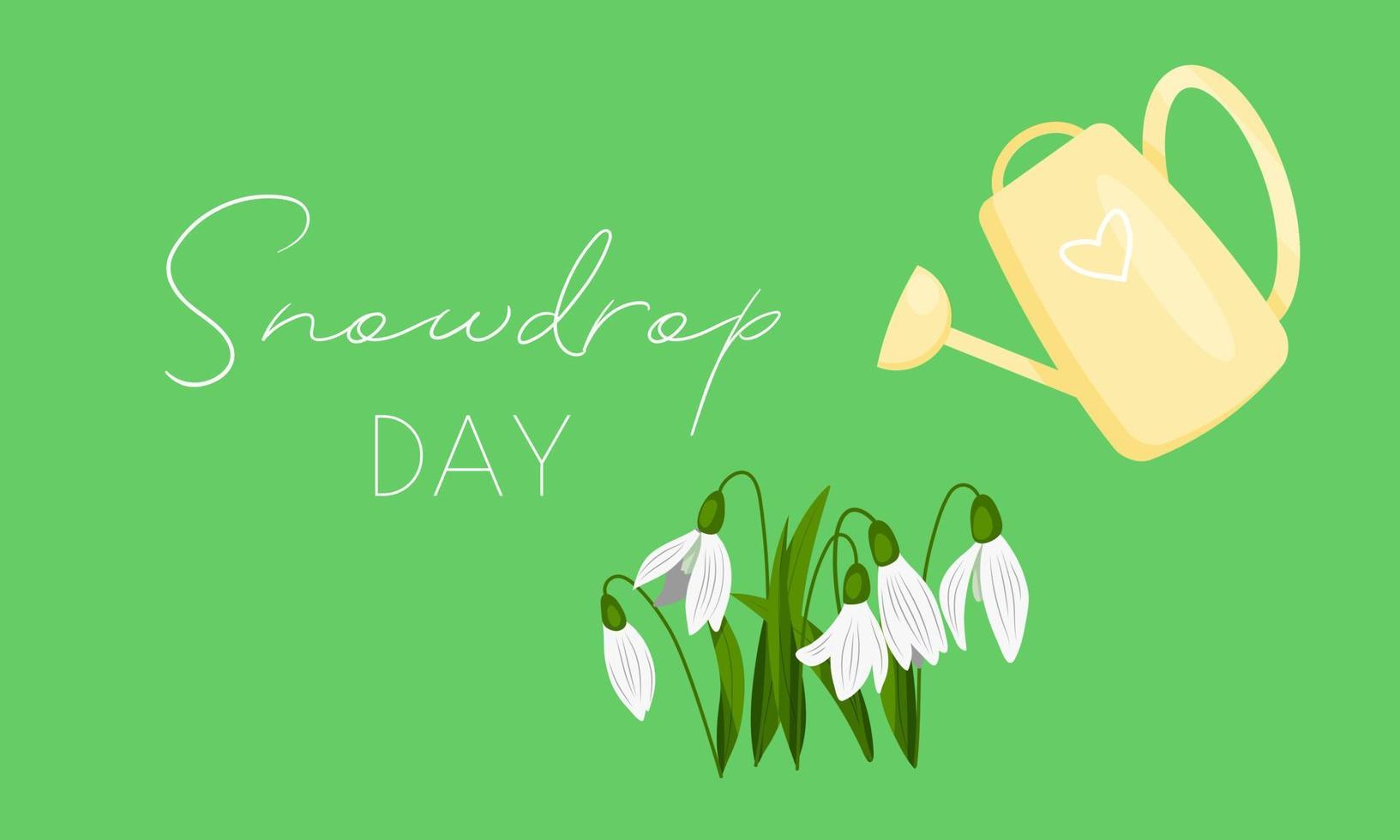 White snowdrops and watering can on green background. International snowdrop day. vector