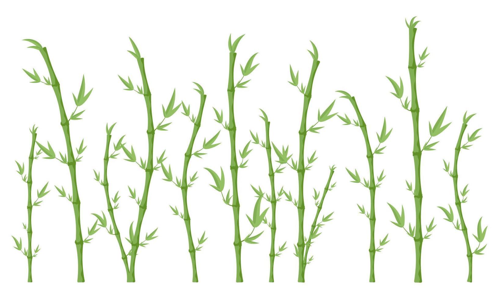 verde bambú ramas y hojas. bambú tallos. vector ilustración.