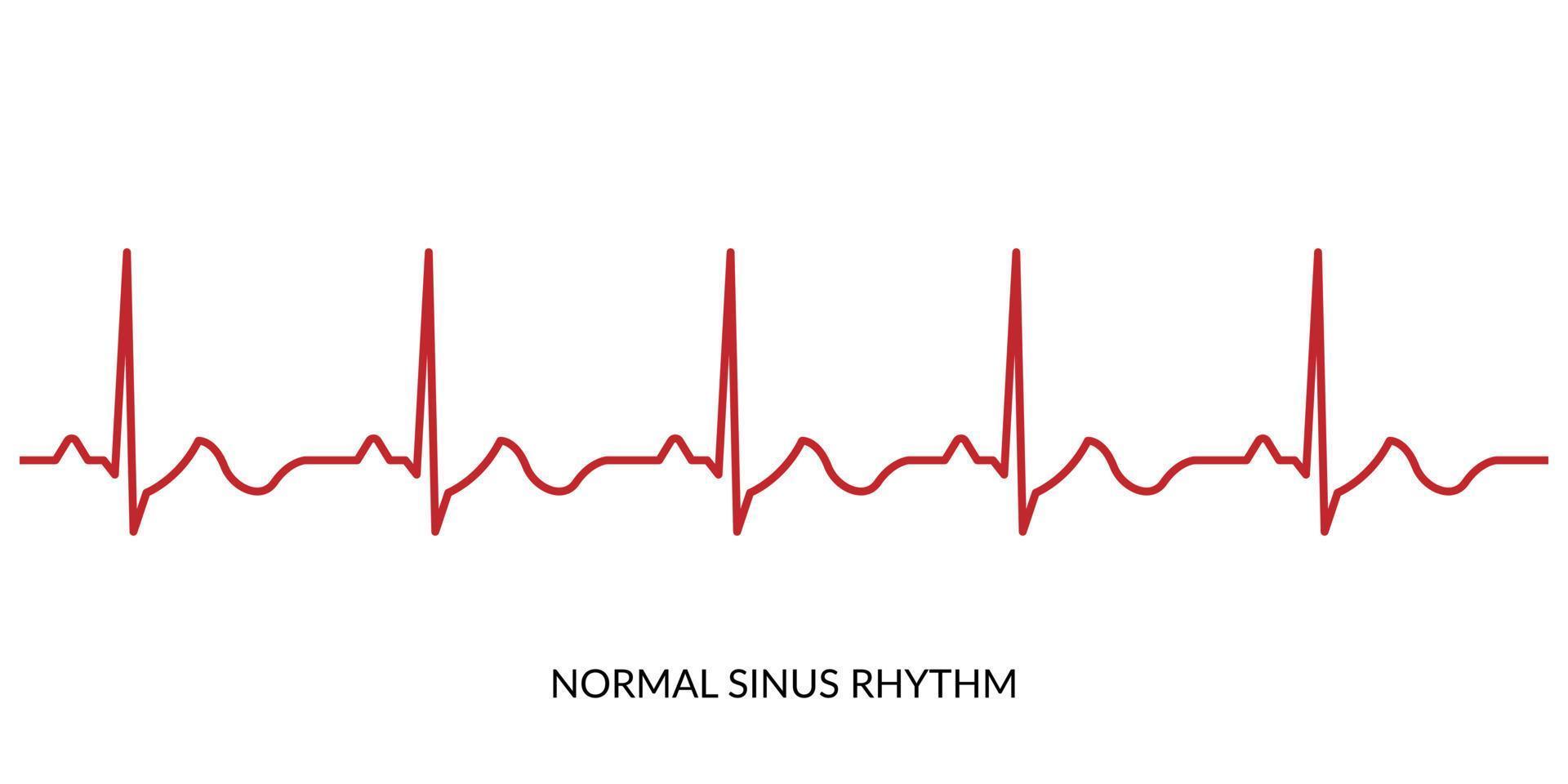 ecg latido del corazón línea. electrocardiograma vector ilustración. normal seno ritmo