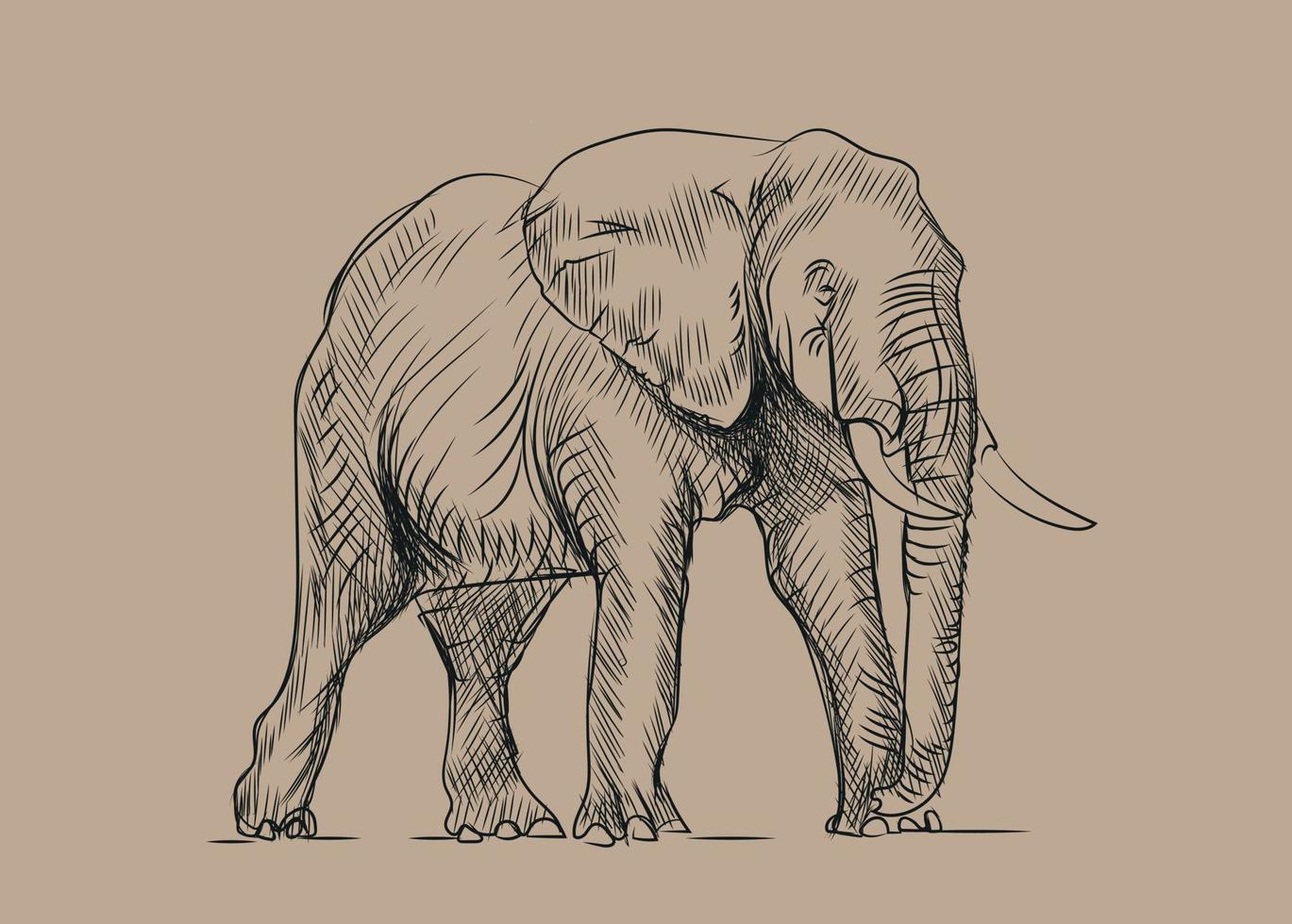 bosquejo de elefante vector