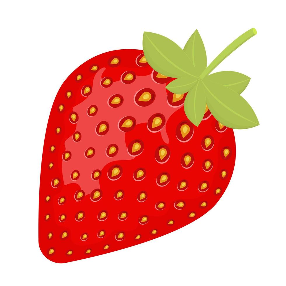 Juicy ripe strawberries. Realistic strawberries on a white background. vector