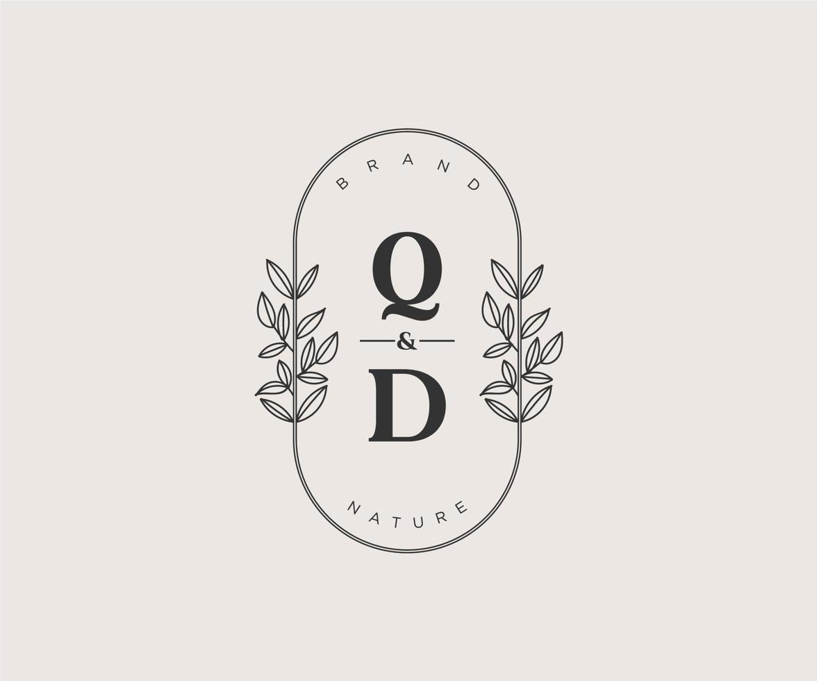 initial QD letters Beautiful floral feminine editable premade monoline logo suitable for spa salon skin hair beauty boutique and cosmetic company. vector