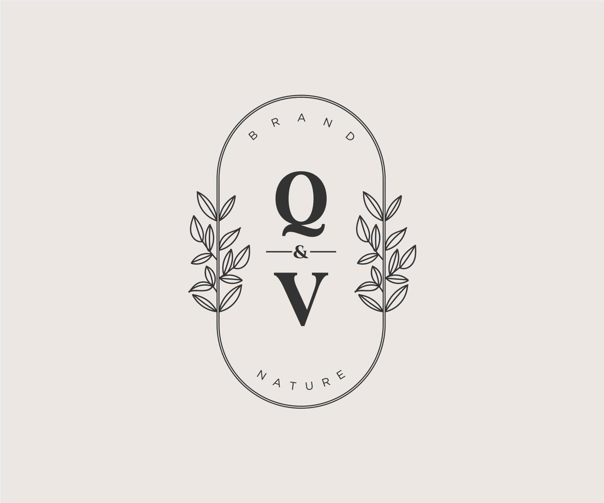 initial QV letters Beautiful floral feminine editable premade monoline logo suitable for spa salon skin hair beauty boutique and cosmetic company. vector