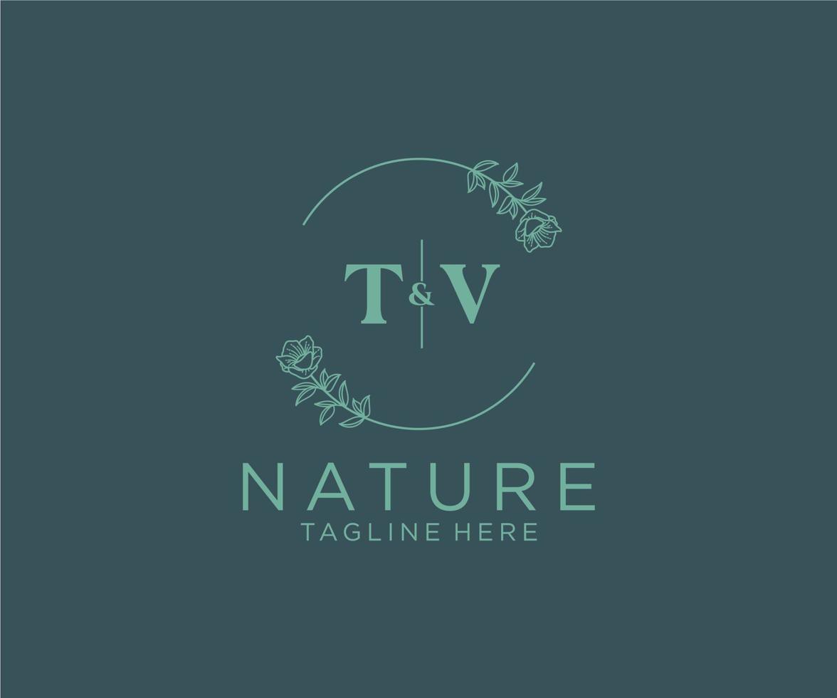 initial TV letters Botanical feminine logo template floral, editable premade monoline logo suitable, Luxury feminine wedding branding, corporate. vector