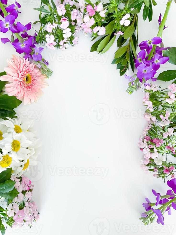 dianthus, gerbera, chamomile, laurel. floral frame photo