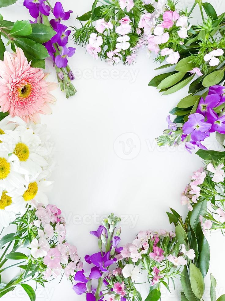 dianthus, gerbera, chamomile, laurel. floral frame photo