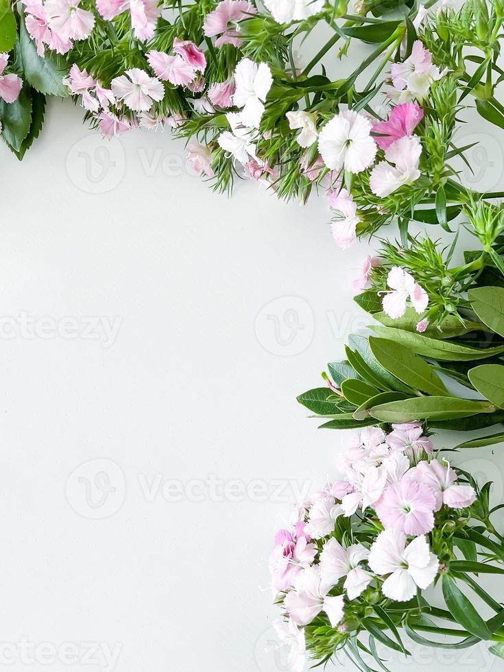 dianthus japonica and laurel leaves. floral frame photo