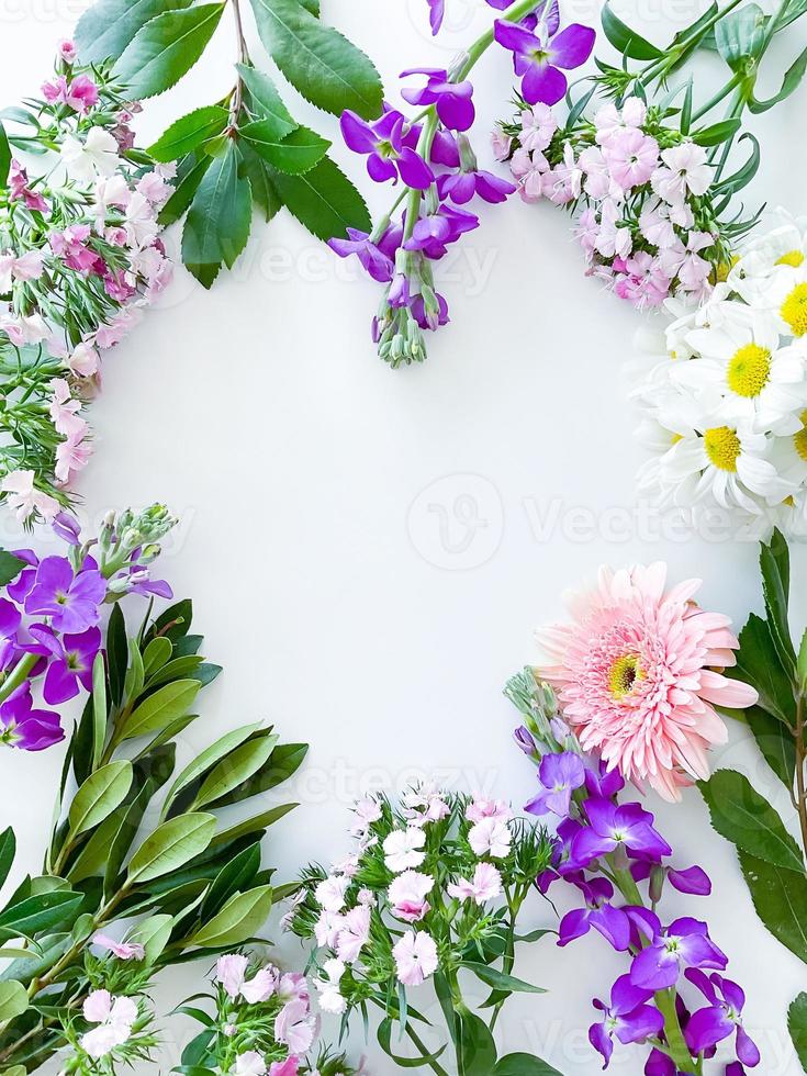 dianthus, gerbera, chamomile, laurel. floral frame photo