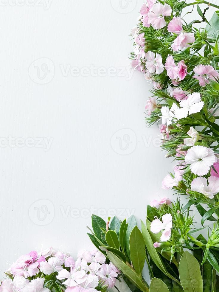 dianthus japonica and laurel leaves. floral frame photo