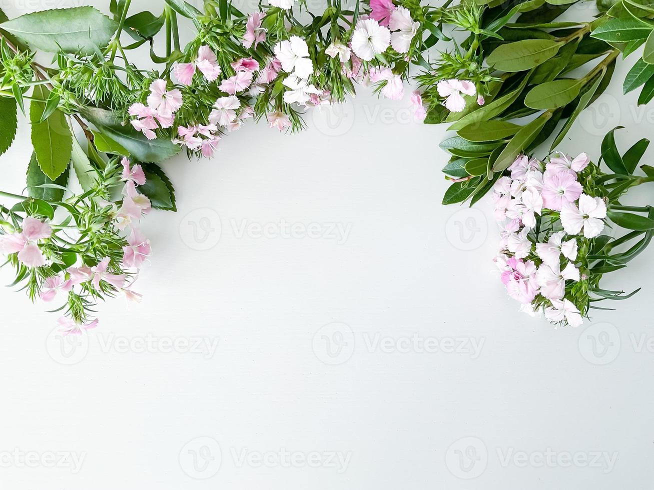 dianthus japonica and laurel leaves. floral frame photo