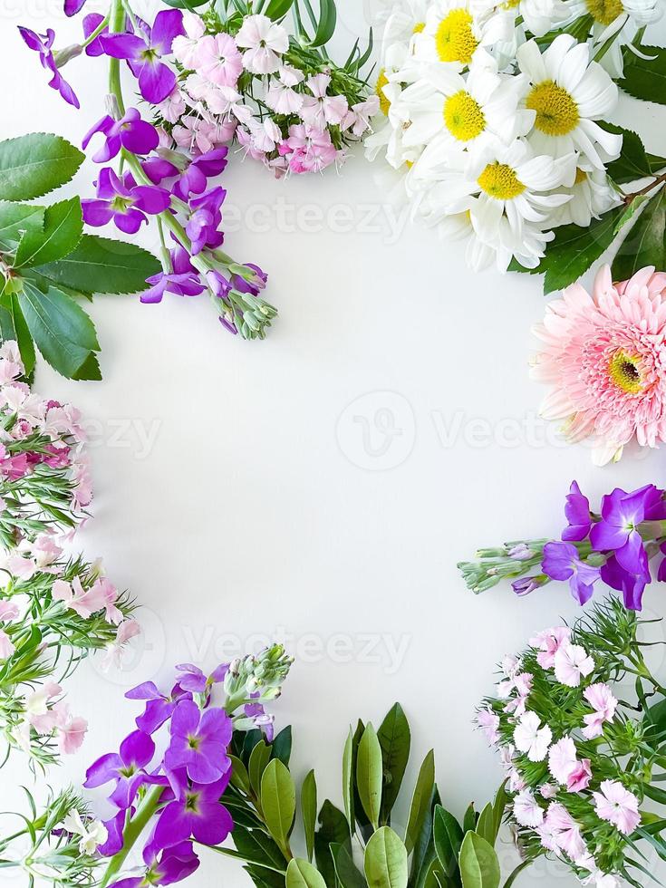 dianthus, gerbera, chamomile, laurel. floral frame photo