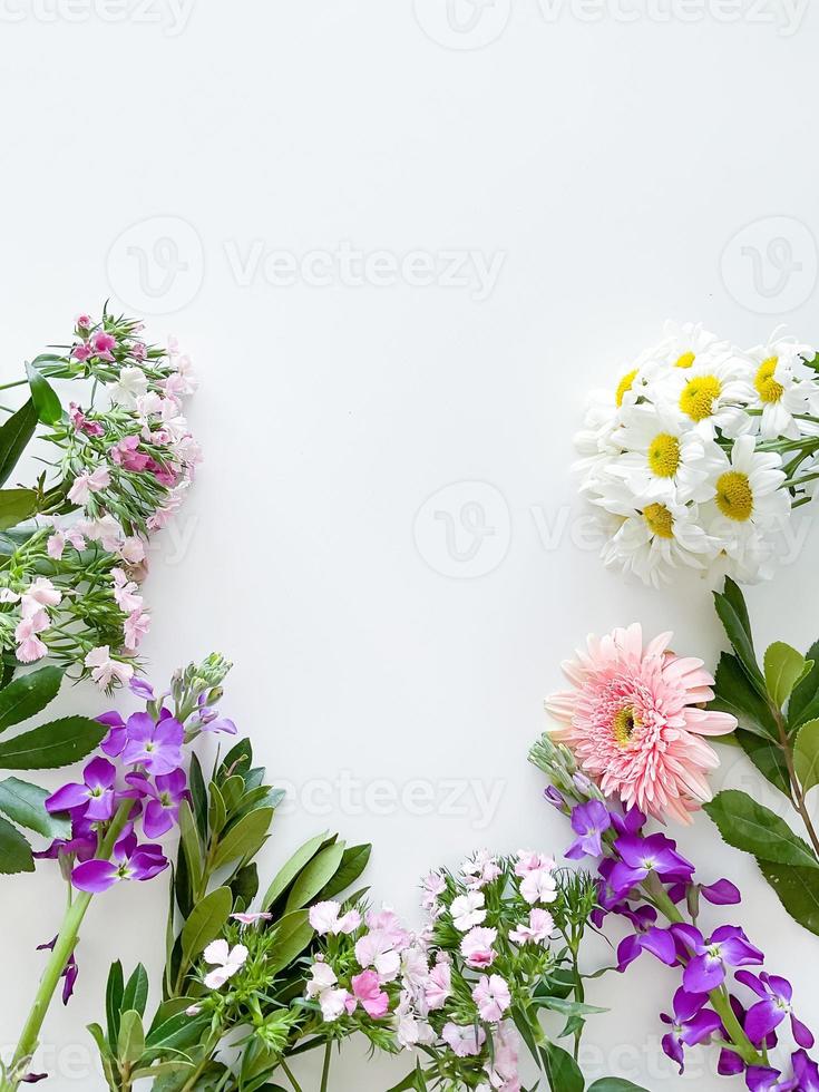 dianthus, gerbera, chamomile, laurel. floral frame photo